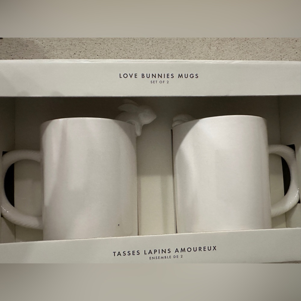 Set of 2 Indigo  Rabbit Love Bunnies 3D Mugs Teacups Coffee Cup